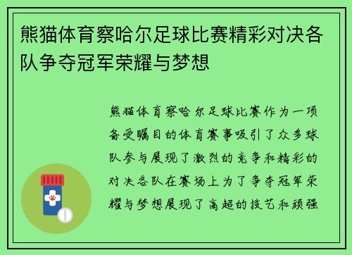 熊猫体育察哈尔足球比赛精彩对决各队争夺冠军荣耀与梦想